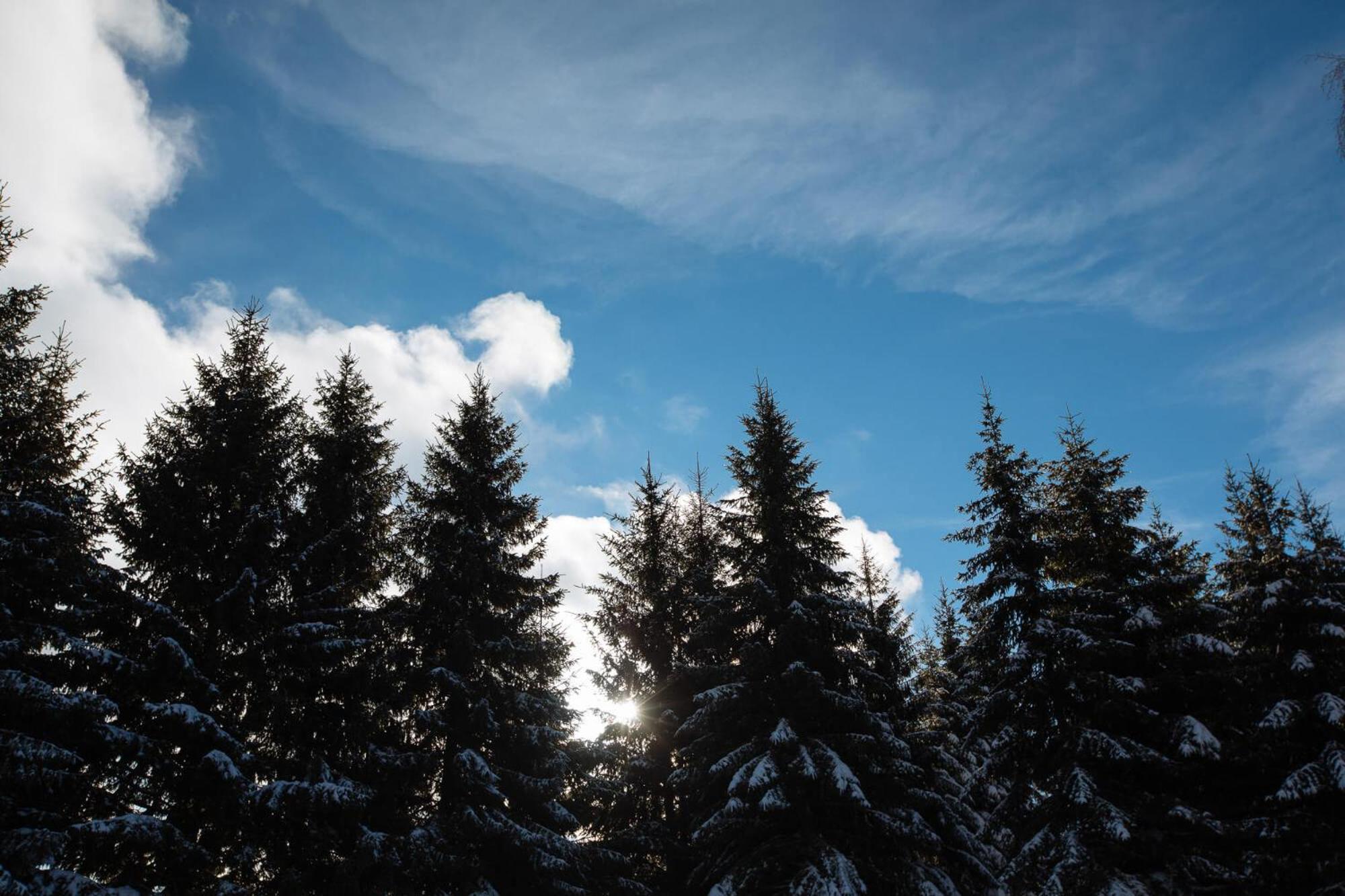 Armadillo Houses Kopaonik Dış mekan fotoğraf